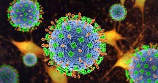 El Ministerio de Sanidad detecta un nuevo virus