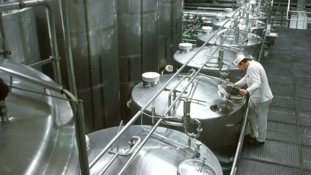 Mitarbeiter in Joghurtfabrik entlassen, weil er eine Viertel Erdbeere zuviel dazugegeben hat